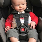 RECARO Performance Ride Convertible Car Seat