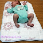 Aden + Anais Portable Changing Pad
