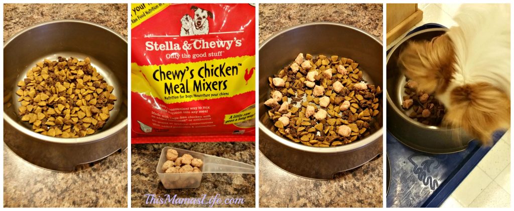 Stella-and-Chewys-Meal-Mixer