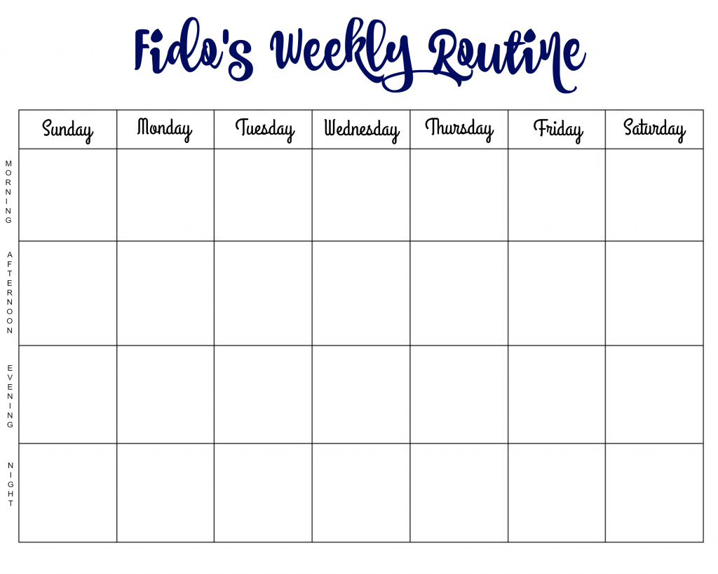 fidos-weekly-routine