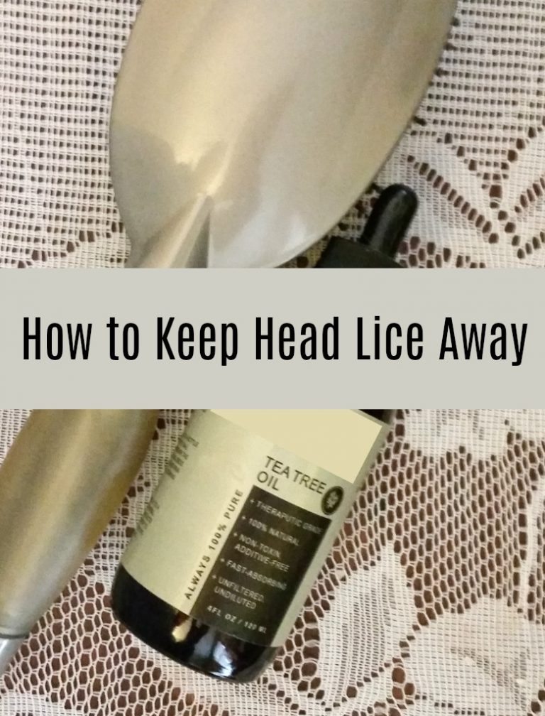 How to Keep Head Lice Away This Mama's Life