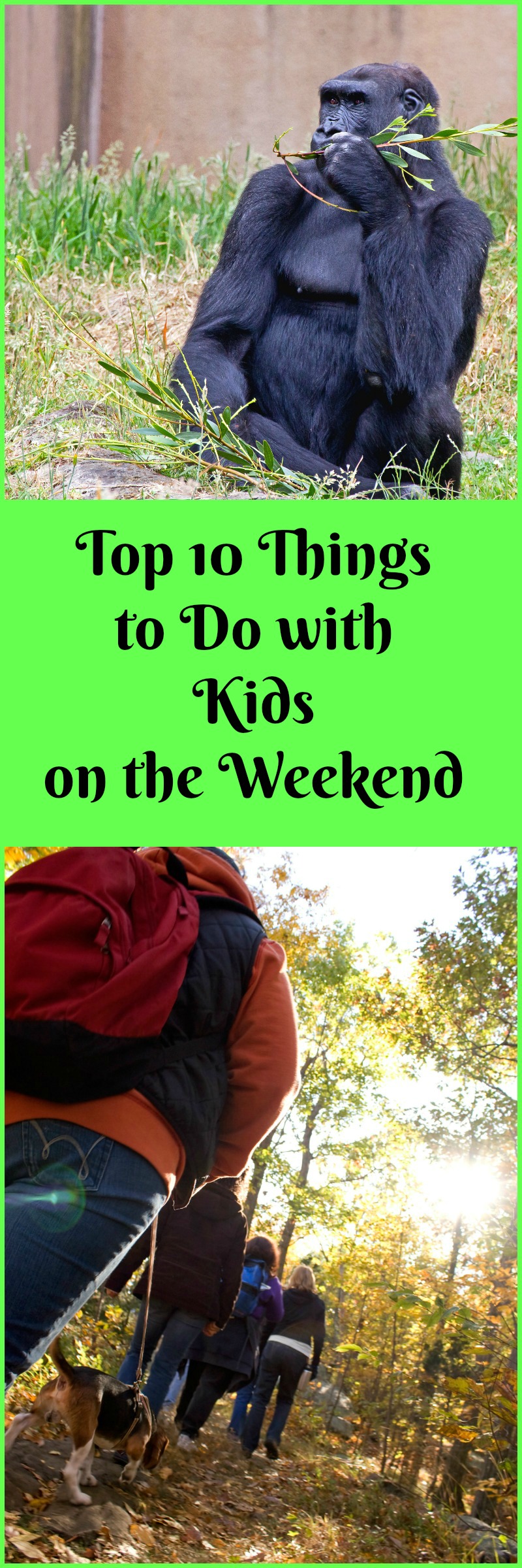Top 10 Things to Do with Kids on the Weekend