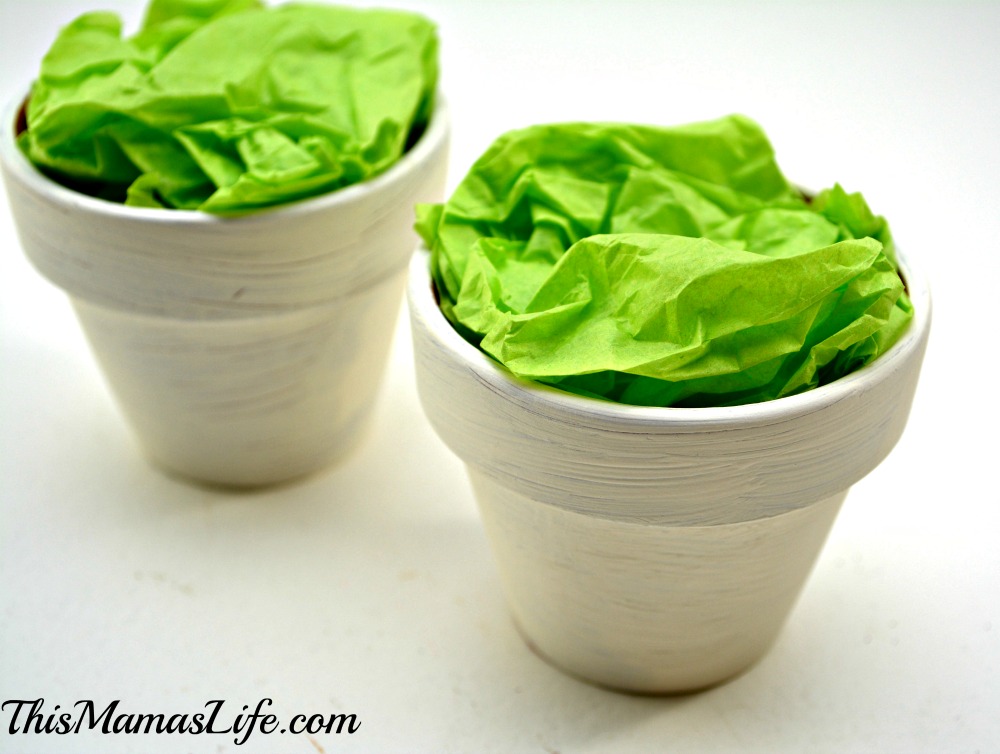 conversation heart planter pot with tissue paper