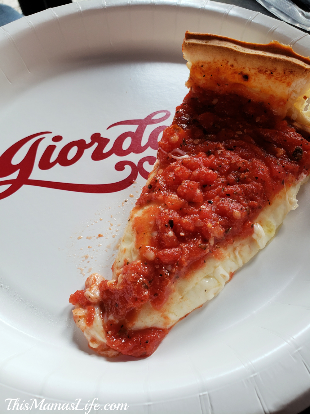 Taste a bit of Chicago with the Chicago Navy Pier Food Tour This Mama